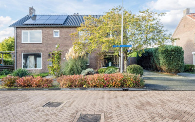 Oude Rozeng. 113