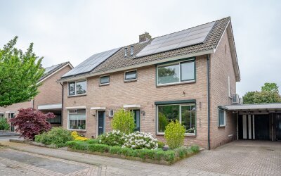Goudsbloems. 5