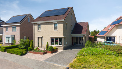 Lindeboom 19