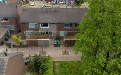 Ganzepeppel 67