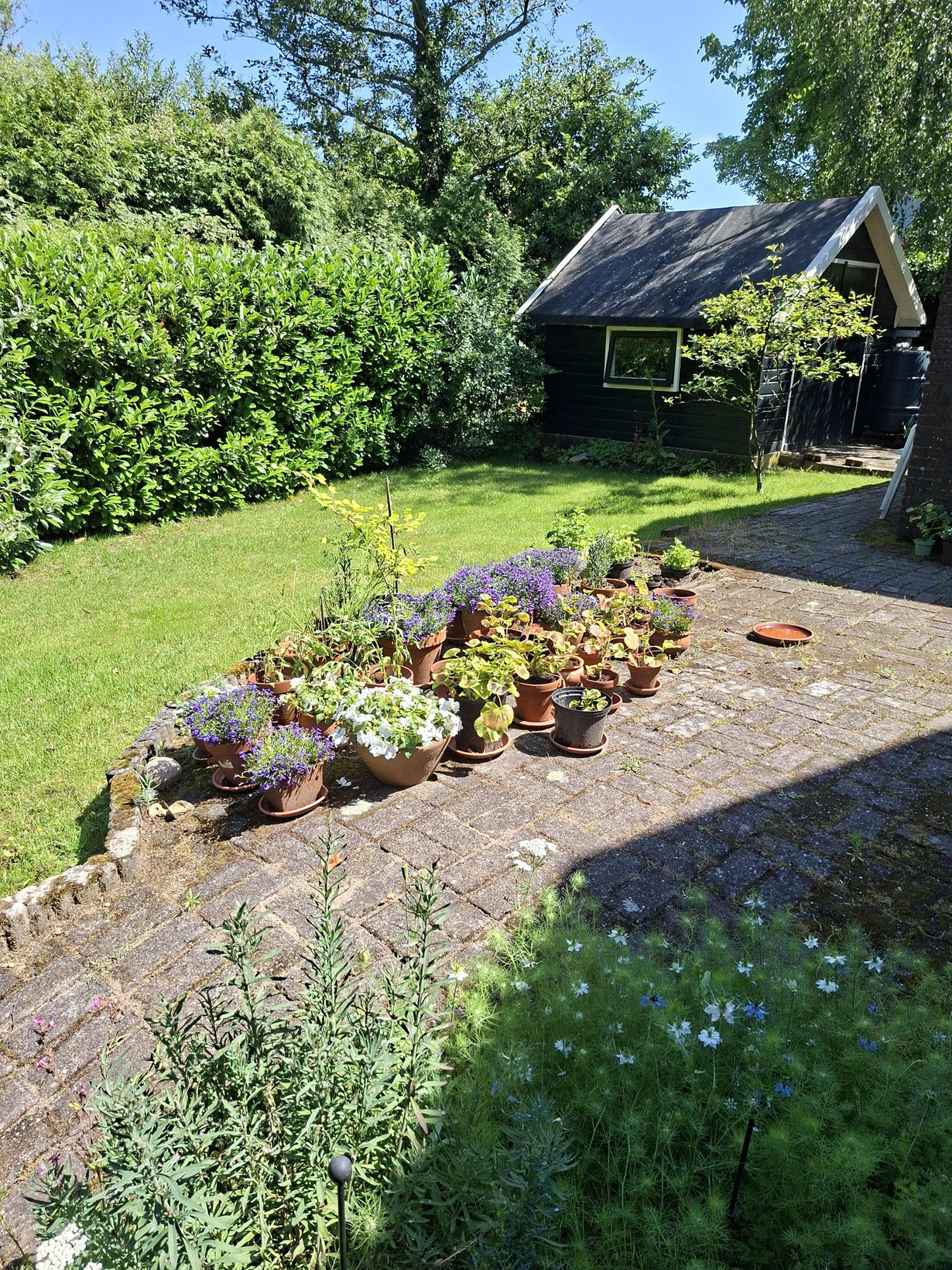 Vrijstaande woning te koop: De Driekoningen 33, 'S-Heerenberg