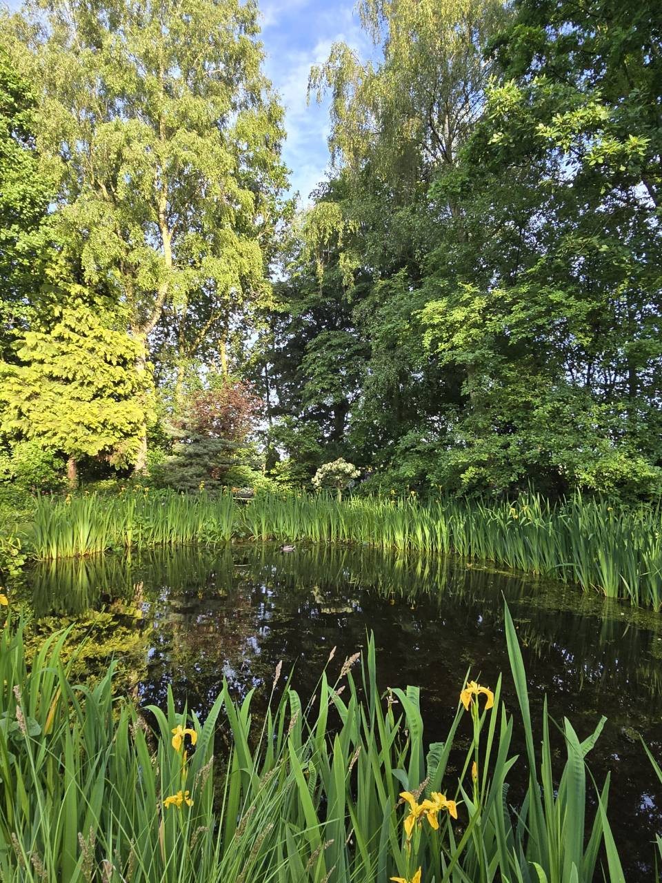 Vrijstaande woning te koop: Reintjesweg 2, Lengel