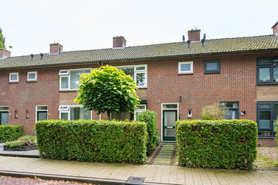 Rozenstraat 17