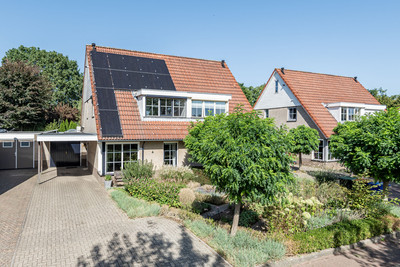 De Marke 11