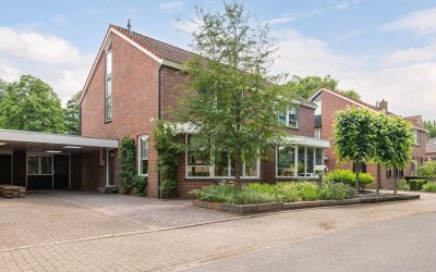 De Hare 31