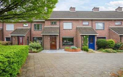 Molenaar 13