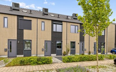 Oldenhuis 7