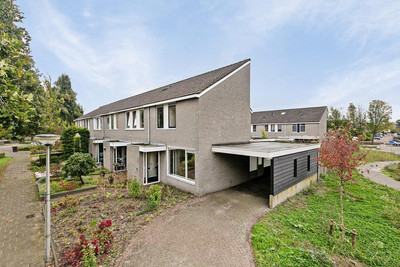 Goudsbloems. 2