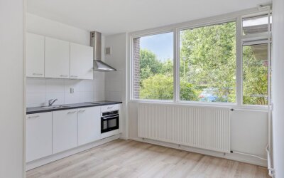 Het Zwanevlot 155