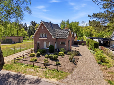 Ien Dalessi. 142