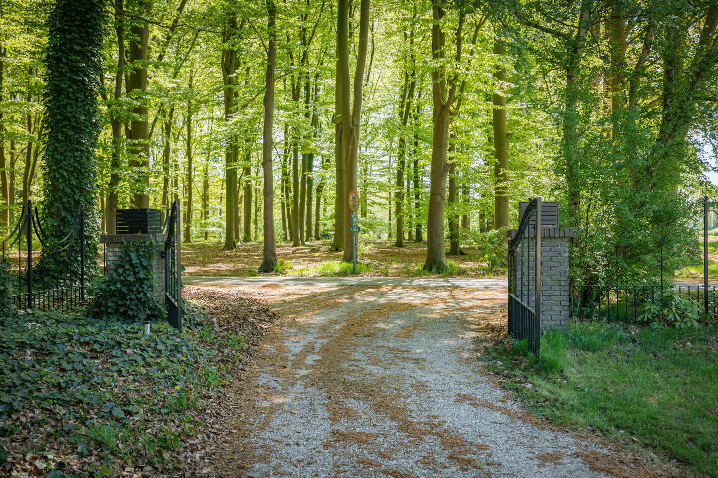 Vrijstaande woning te koop: Damlaan 12, Eefde