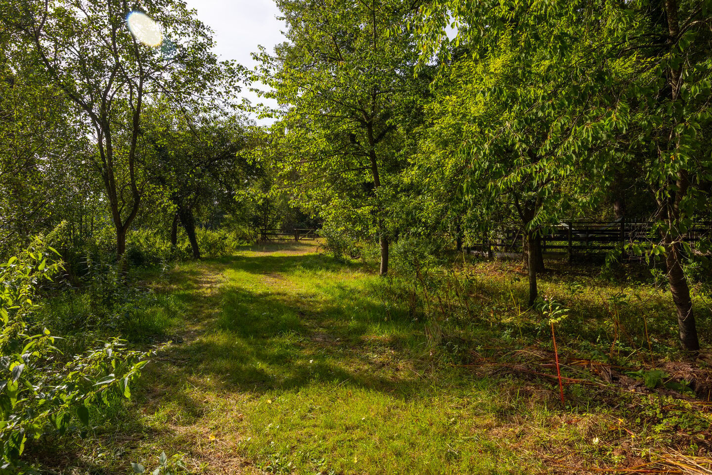 Vrijstaande woning te koop: Lochemseweg 56, Epse