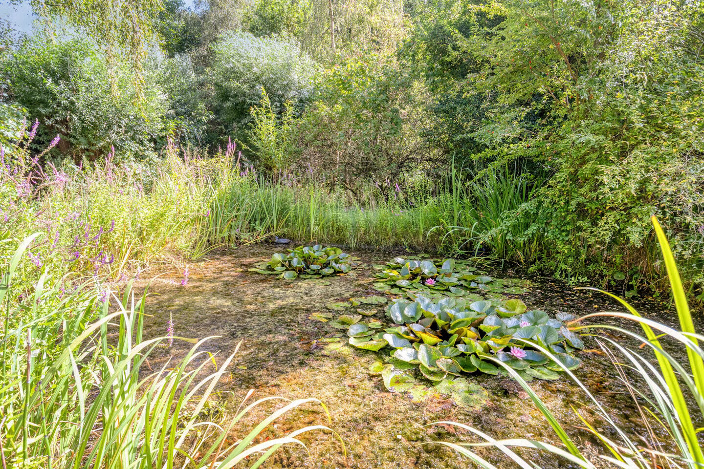 Vrijstaande woning te koop: IJselweg 23, Vierakker