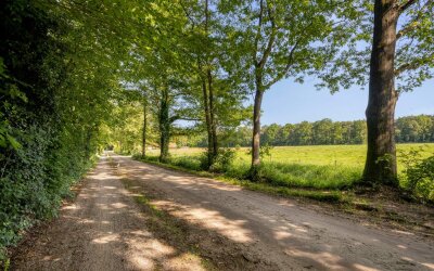 Enzerinckweg 5