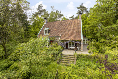 Wildenborch. 8