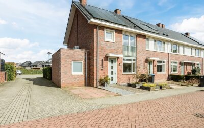 Paardenbloem 12