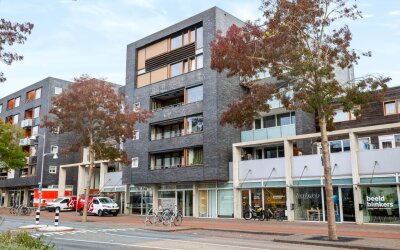 Molenstraat-Centrum 347