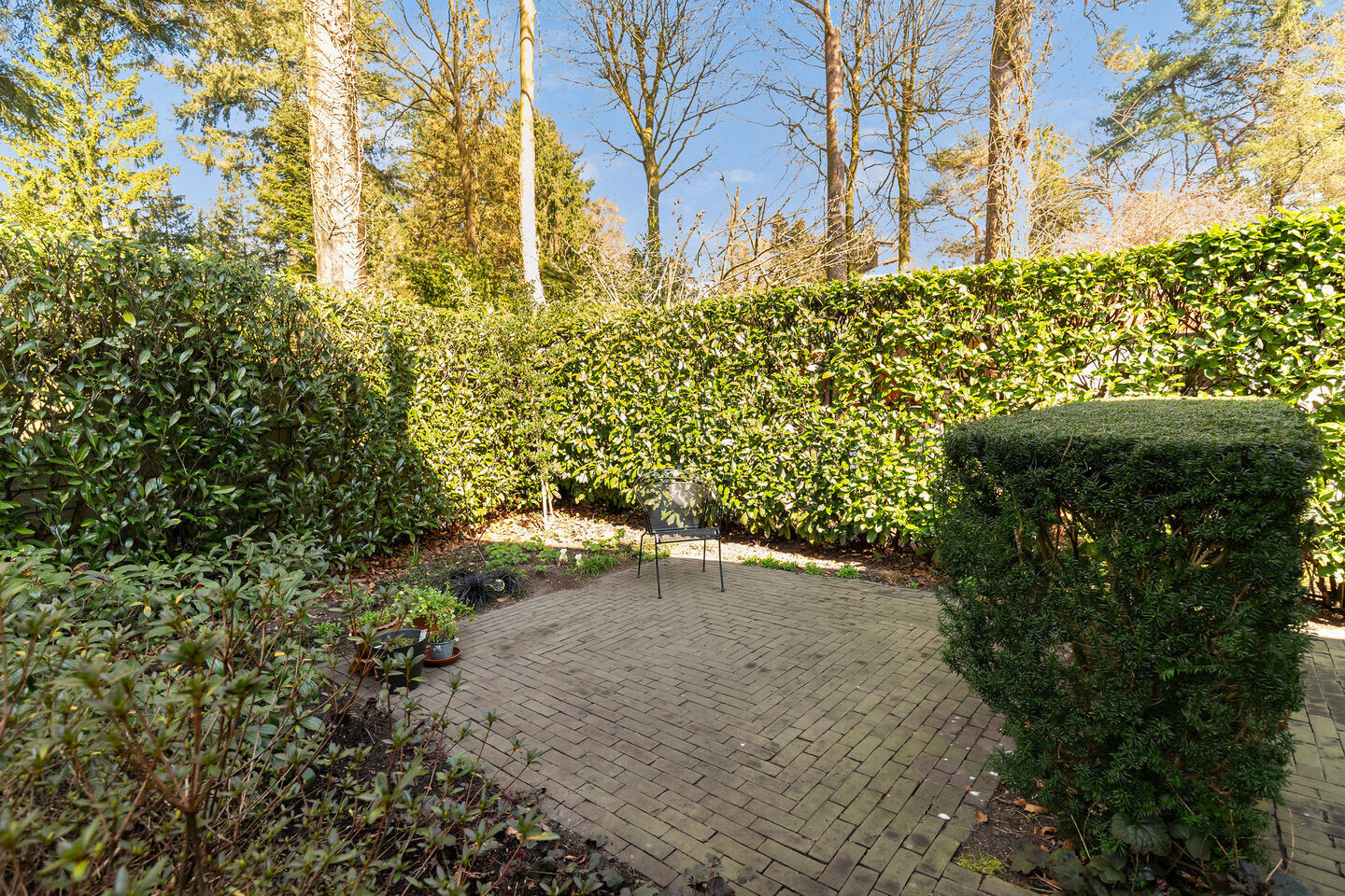 Vrijstaande woning te koop: Ribeslaan 18, Apeldoorn