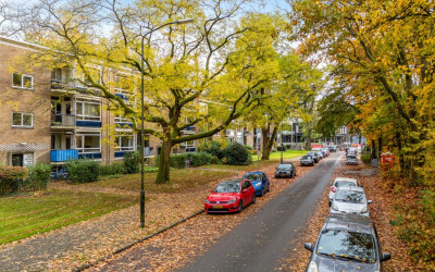 Waltersingel 14