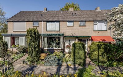 Hoornbloem 33