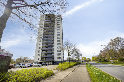 Kalmoesstraat 49