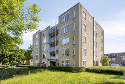 Schermbloem 39