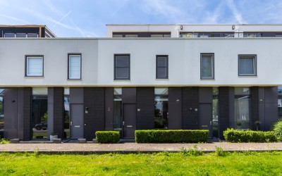 Vuurvlinder 114