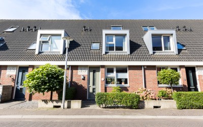 Vliegenzwam 35
