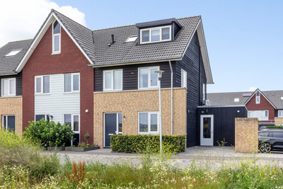 Honingzwam 79