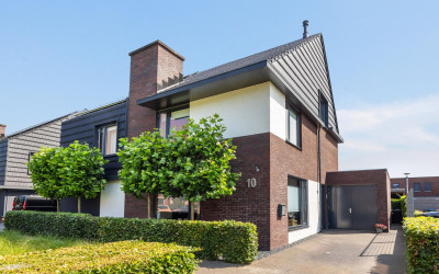 Honingzwam 10