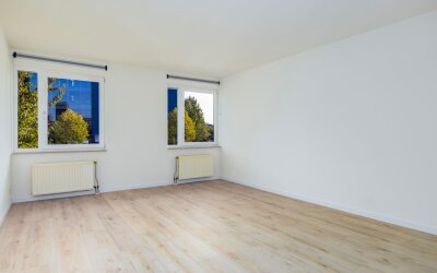 Linie 349