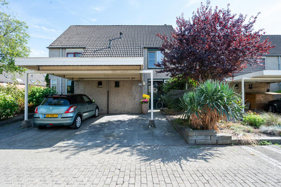 Krijgsmansveld 313