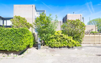Rietdekkers. 706