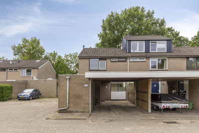 Schrijnwerkershorst 739