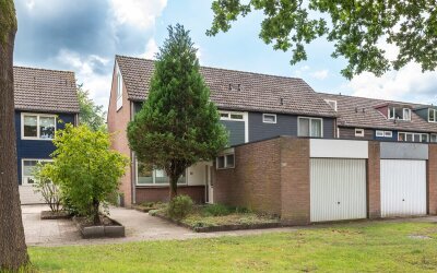 Houtsnijdershorst 507