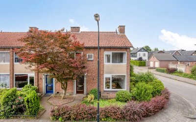 Johan de Wittstraat 30