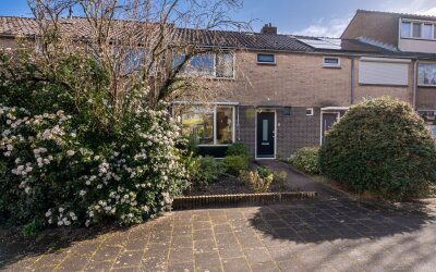 Drecht 5