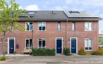 Parelhoender 20