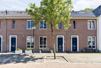 Parelhoender 52