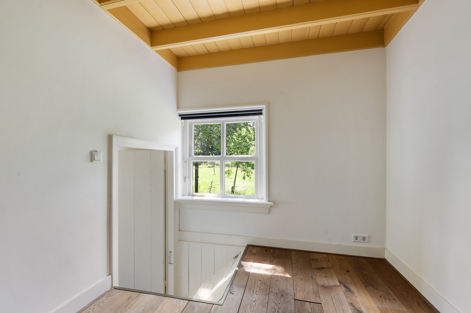 Vrijstaande woning te koop: Haanstraat 4, Voorst