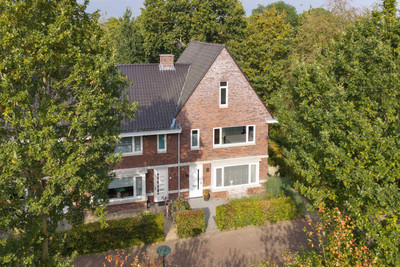 Bosgeelster 13