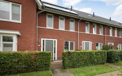 Sleutelbloem 12