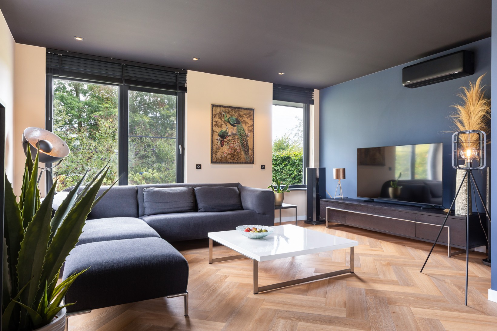Vrijstaande woning te koop: Eendenkooiweg 6, Nijbroek