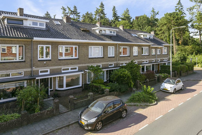 Hoge Hondst. 40
