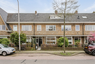 Hoge Hondst. 56