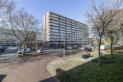Margijnenenk 241