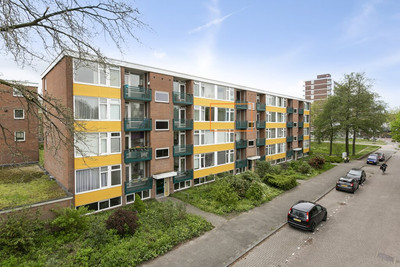 Koning Wenz. 40