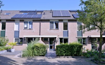 Kardinaalsmuts 43