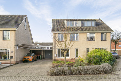 Kamperfoelie 50
