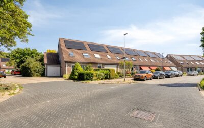Grote ratelaar 117